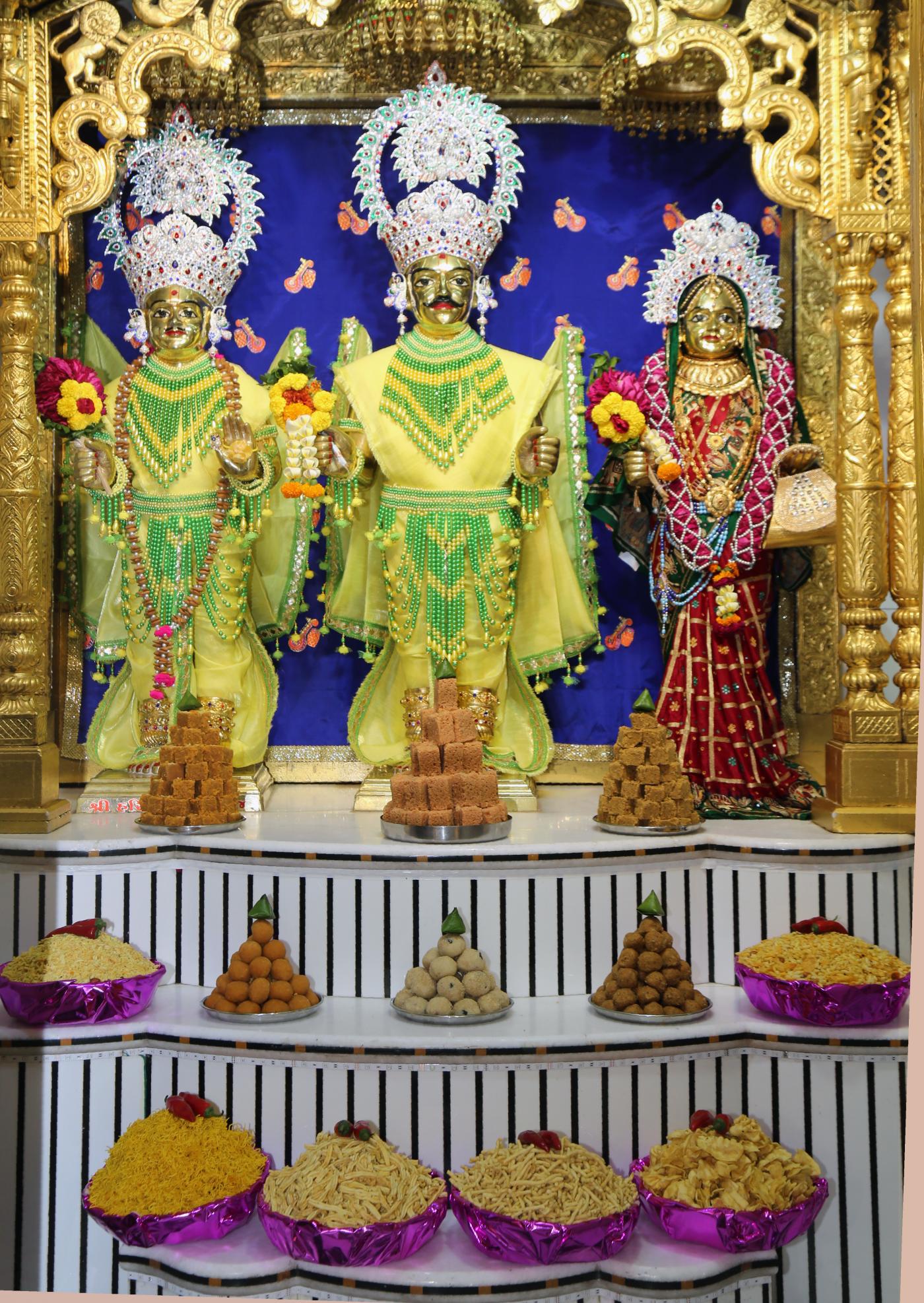 IMAGE - 5